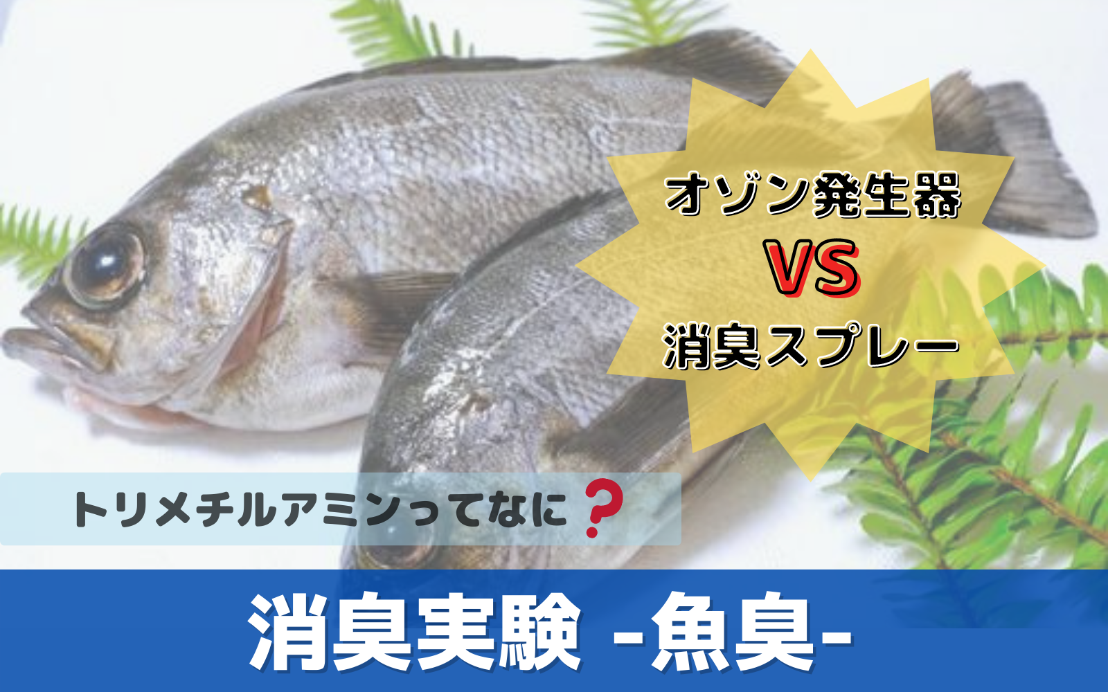 オースリークリア3消臭実験 -魚臭-