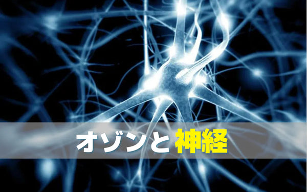 オゾンは神経に影響するのか｜研究でわかっていることと、日常で確認したいこと