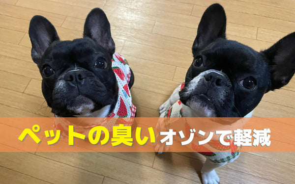多頭飼いのペットの臭いが取れないときの対策｜まず取り組むことと、オゾンが候補になる条件