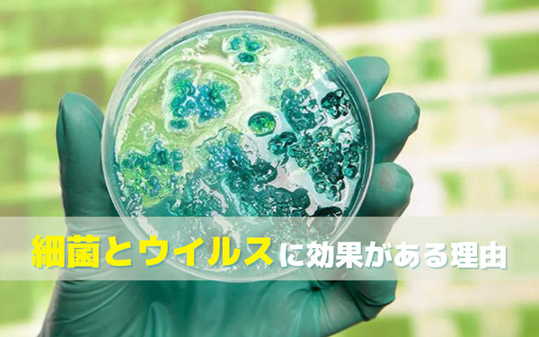 オゾンが細菌とウイルスの両方に作用する理由｜仕組みをやさしく解説