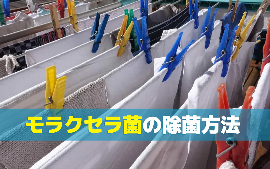 モラクセラ菌の除菌方法｜衣類の生乾き臭を家庭で減らす対策と選び方