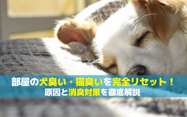 部屋の犬臭い・猫臭いを完全リセット！原因と消臭対策を徹底解説
