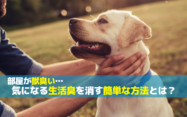 部屋が獣臭い⋯気になる生活臭を消す簡単な方法とは？