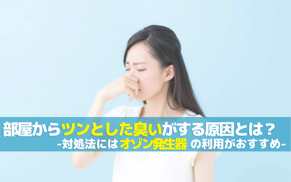 部屋からツンとした臭いがする原因とは？対処法にはオゾン発生器の利用がおすすめ