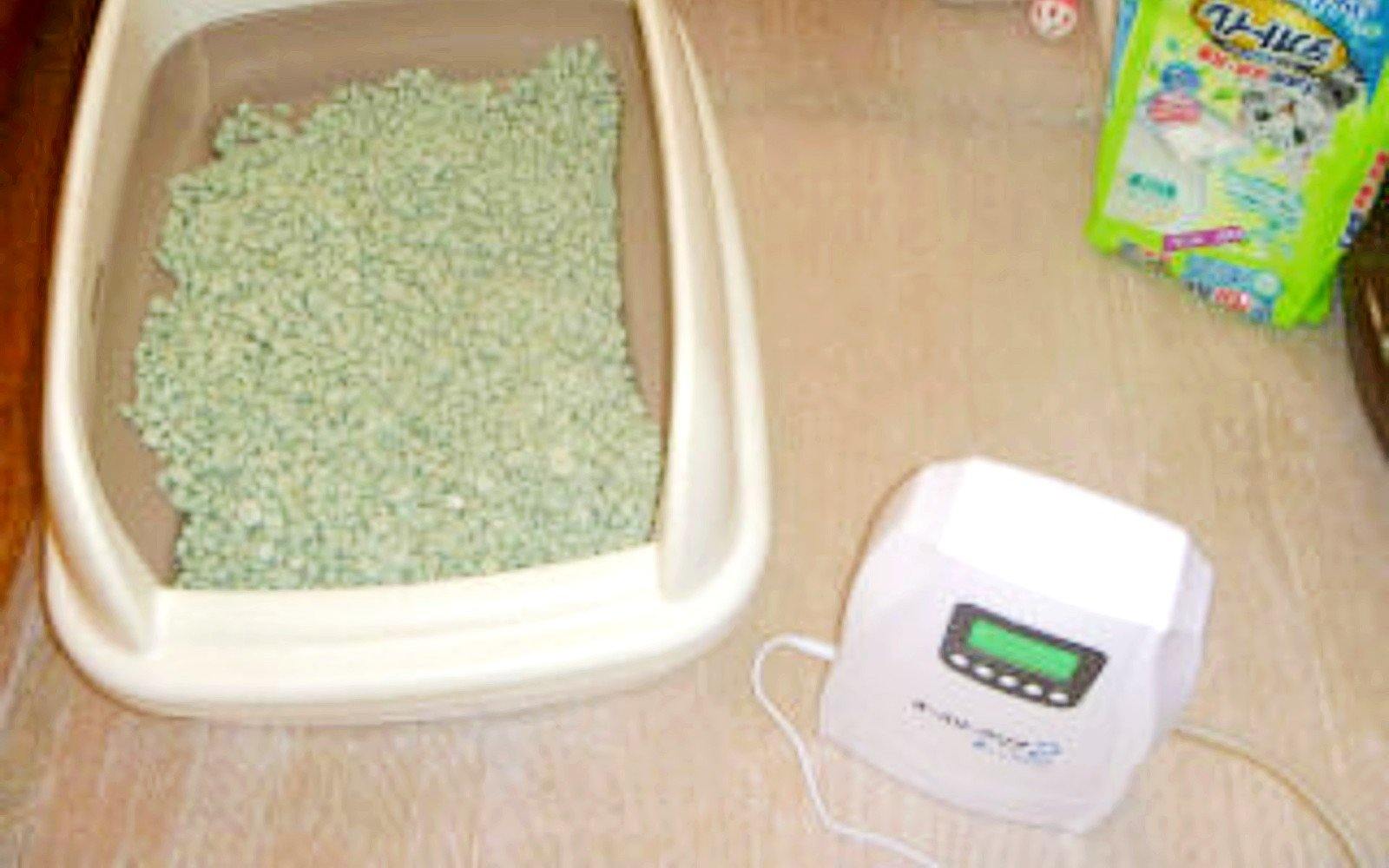 渡辺 様 オースリークリア2