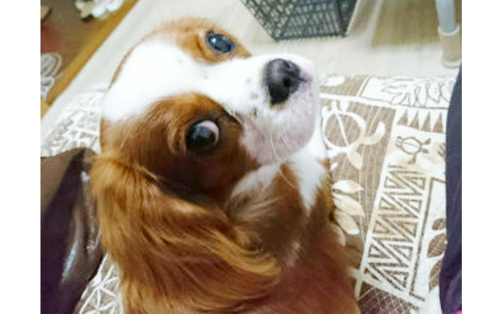 三梨 様 - オゾンマート - オゾン発生器の製造メーカー・直販サイト