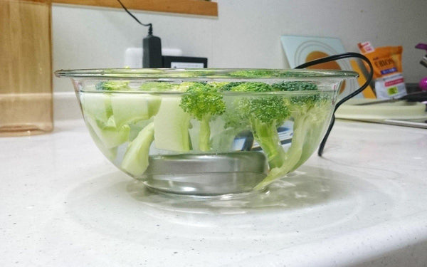 野菜をオゾン水で除菌する様子