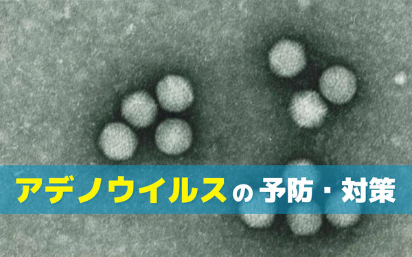 アデノウイルス対策にオゾンを使う方法｜施設での場所別の使い分けと確認ポイント
