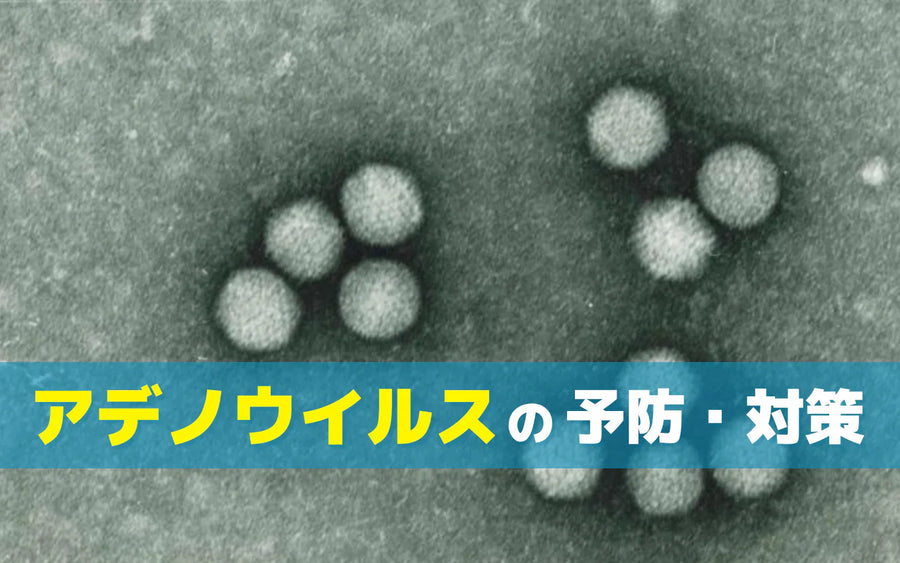 アデノウイルス対策にオゾンを使う方法｜施設での場所別の使い分けと確認ポイント