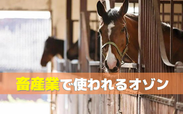 畜舎の臭い対策｜発生源の整理と対応レベル別の方法の選び方