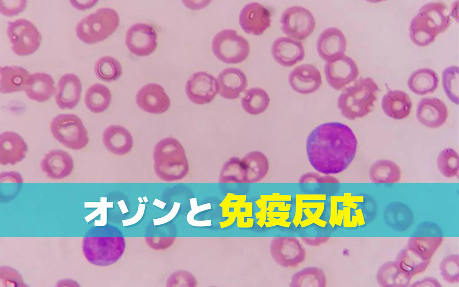オゾンと免疫反応の関係｜研究でわかっていることと、わかっていないこと