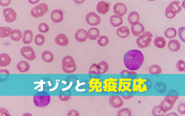 オゾンと免疫反応の関係｜研究でわかっていることと、わかっていないこと