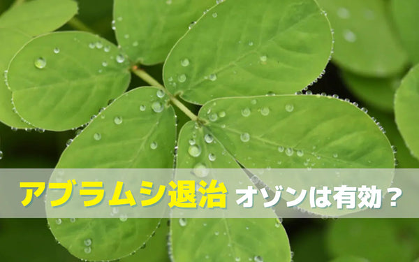アブラムシ駆除にオゾンは有効か｜検証事例からわかる効果の範囲と使い方の前提