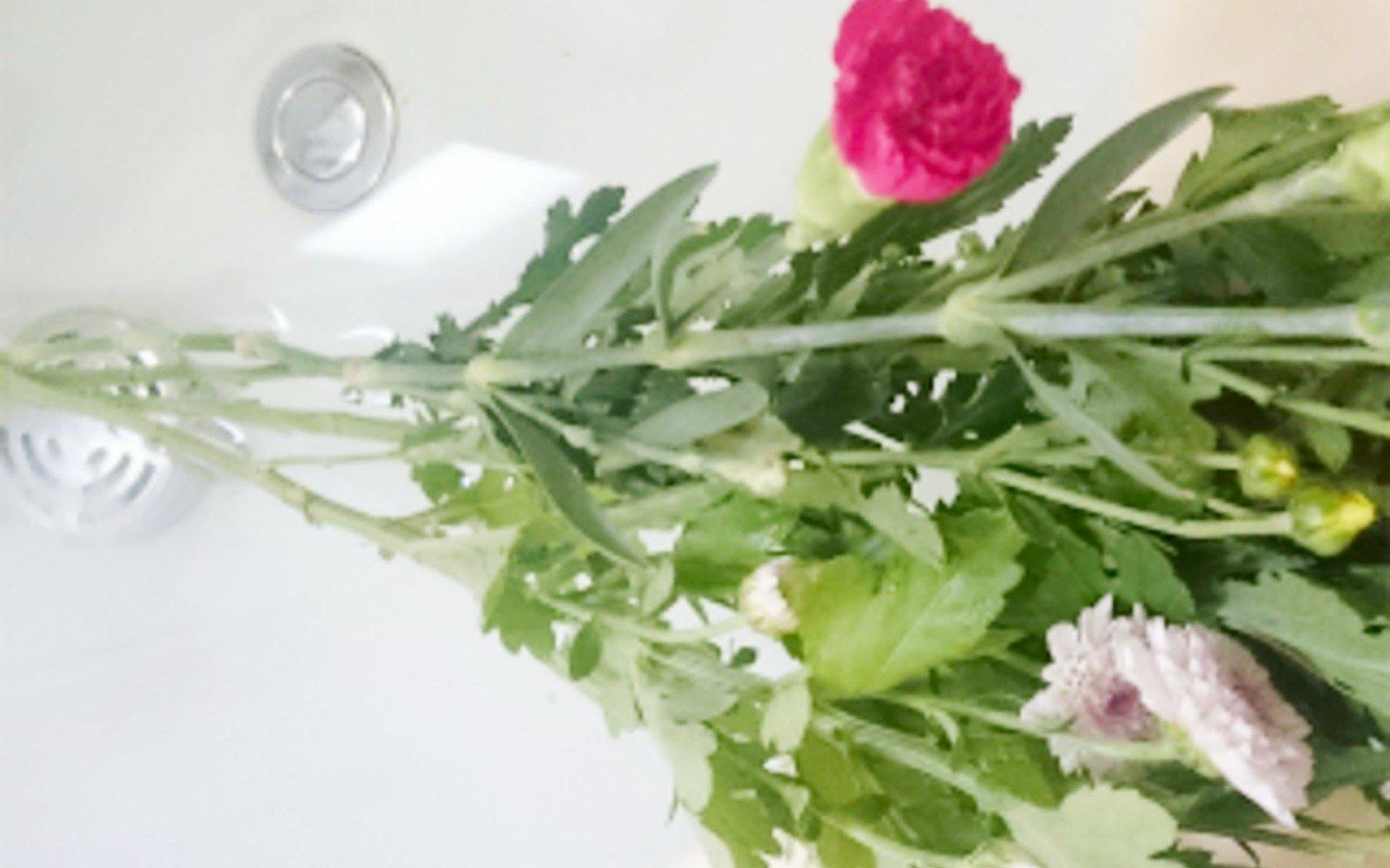 橋本 様 - ozonemart