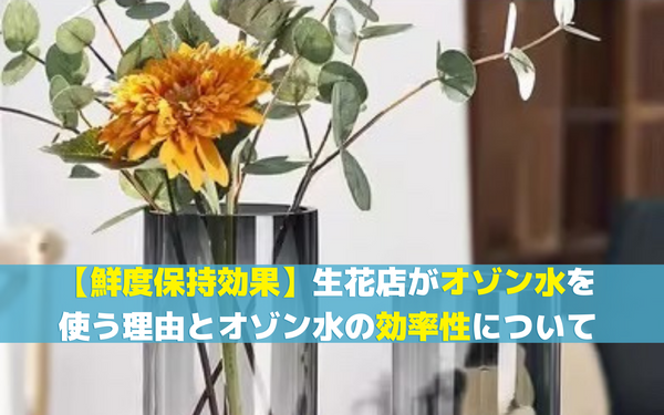 【鮮度保持効果】生花店がオゾン水を使う理由とオゾン水の効率性について