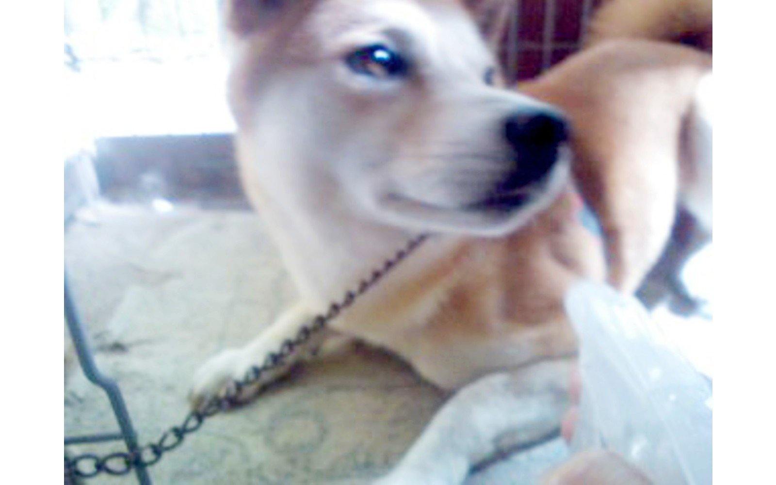 野田 様 - ozonemart