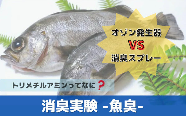 オゾン発生器で魚の生臭さは消えるのか｜消臭スプレーとの違いを実験で検証