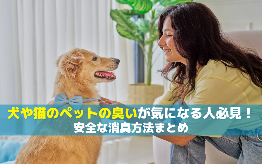 犬や猫のペットの臭いが気になる人必見！安全な消臭方法まとめ