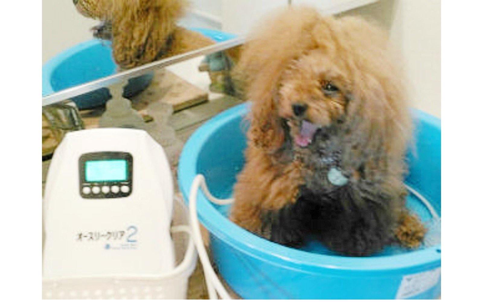 金子 様 - ozonemart