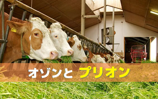オゾンとプリオン｜不活化しにくいプリオンに、オゾンは作用するのか
