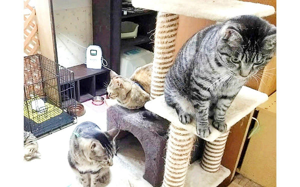 中村 様