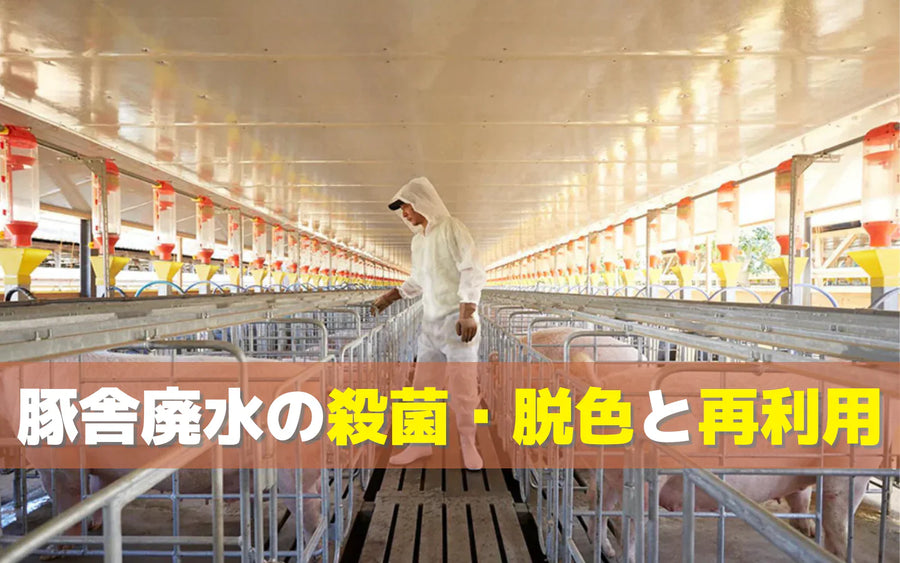 オゾンによる豚舎廃水の殺菌・脱色と再利用｜宮崎大学農学部 霧村研究室との共同研究で検証