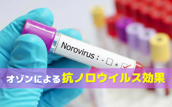 ノロウイルス対策とオゾン｜研究でわかっていることと向く場面の判断ポイント