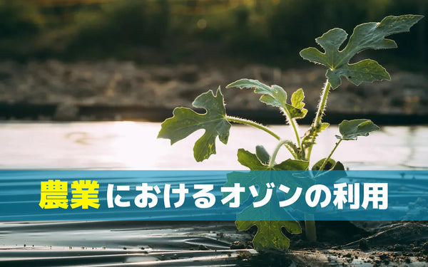 農業におけるオゾンの利用｜場面別の使われ方と検討のポイント