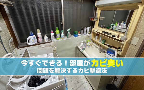 今すぐできる！部屋がカビ臭い問題を解決するカビ撃退法