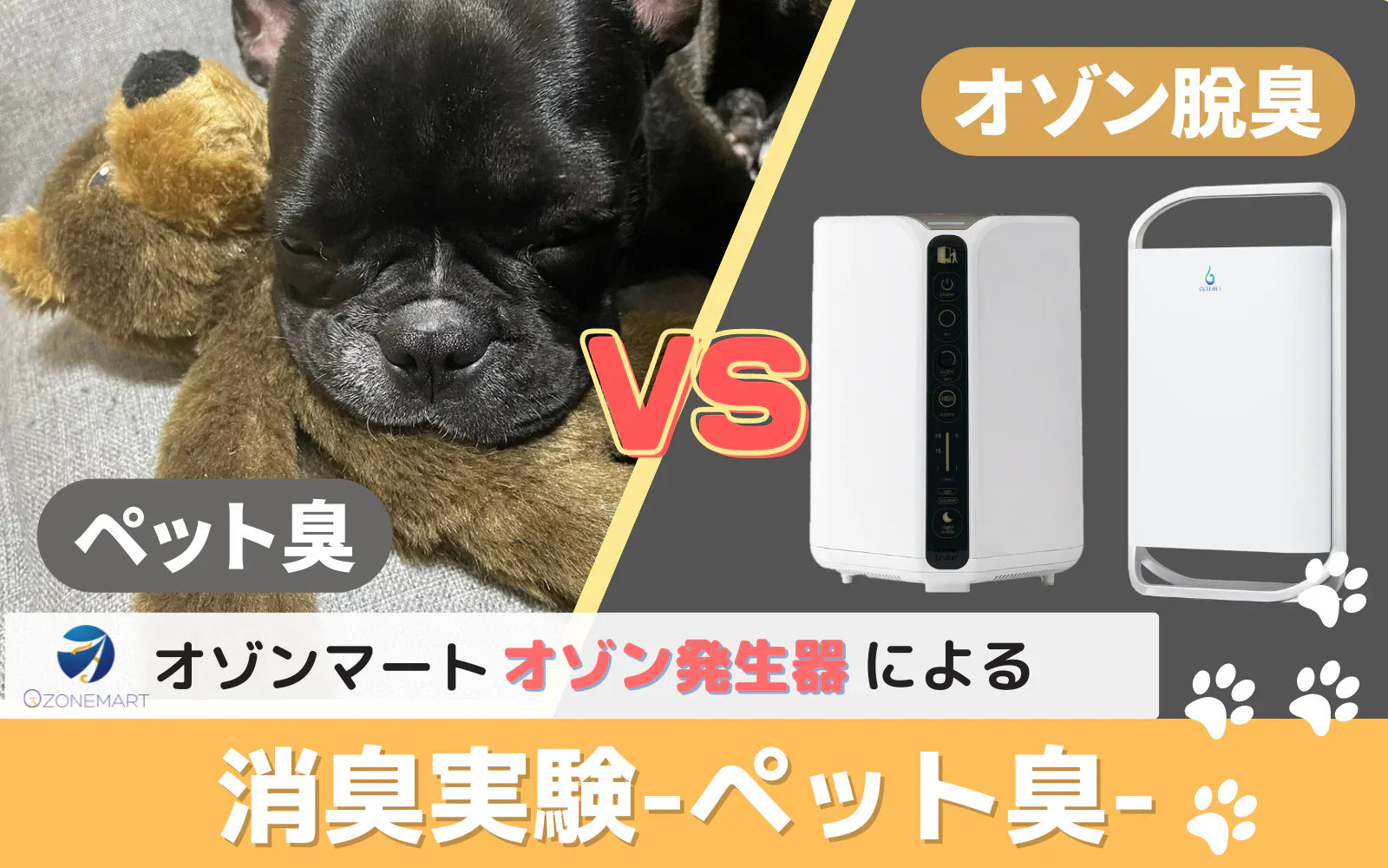 オゾンでペットの臭いはどこまで消えるか｜臭気計測器で測った消臭検証の結果