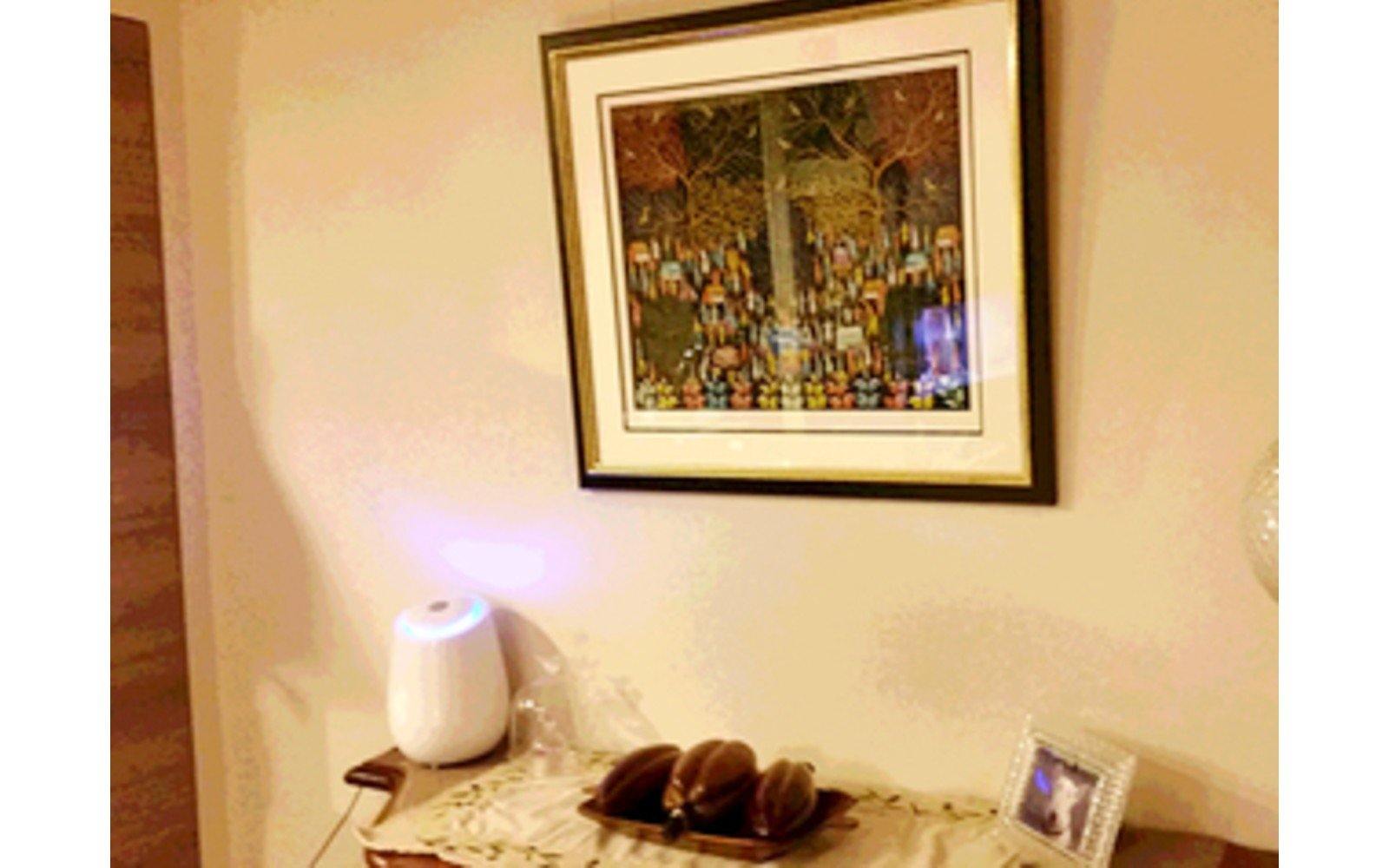 本間 様 - ozonemart