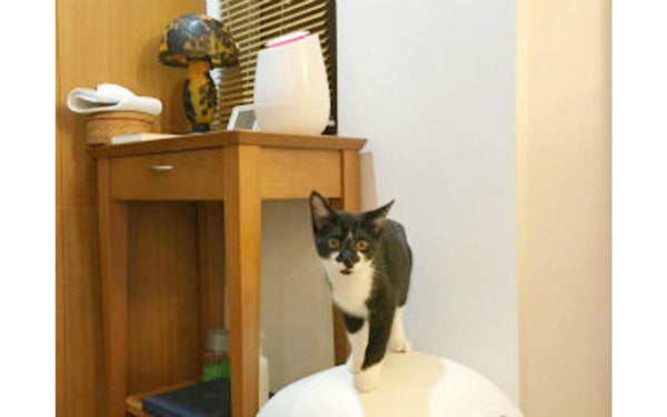 小椋 様