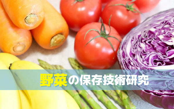 オゾン水・オゾンガスは野菜の保存に使える？検証データでわかる効果と条件