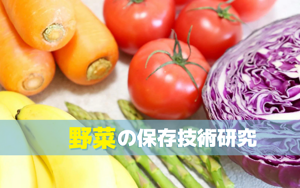 野菜