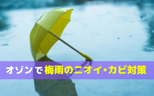 梅雨に部屋が臭いのはなぜ？カビ臭の原因と家庭でできる対策の選び方