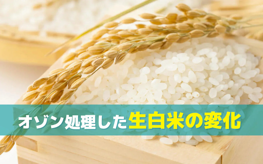 オゾン処理は生白米の物理化学的特性をどう変えるのか｜研究データで読み解く