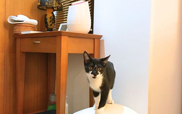 小椋 様