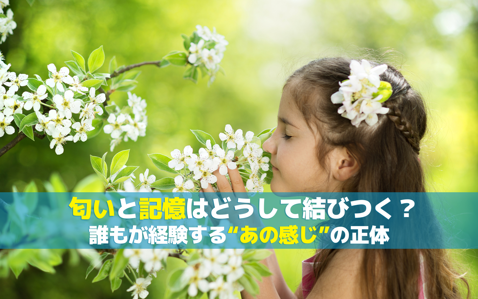 匂いと記憶はどうして結びつく？誰もが経験する“あの感じ”の正体