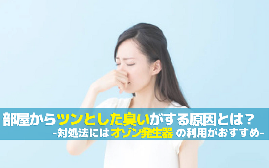 部屋からツンとした臭いがする原因とは？対処法にはオゾン発生器の利用がおすすめ